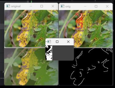 Plant Disease detector